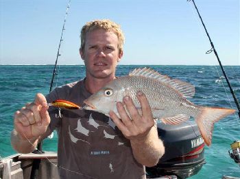Learning more about swivels - Part 1 - Fishing Articles